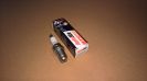 NEW Autolite AR3910X Racing Spark Plug Predator Clone Briggs Animal Tillotson Kart