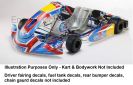 NEW Energy Kinetic Kart KG 507 Nose + Sidepod Stickers Graphics Decals